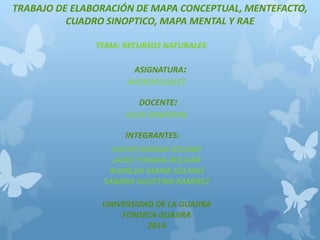 TRABAJO DE ELABORACIÓN DE MAPA CONCEPTUAL, MENTEFACTO, 
CUADRO SINOPTICO, MAPA MENTAL Y RAE 
TEMA: RECURSOS NATURALES 
ASIGNATURA: 
AUDIOVISUALES 
DOCENTE: 
JULIA SANDOVAL 
INTEGRANTES: 
ELEISIS DAYANA SOLANO 
JADID YOHANA BOLIVAR 
RUMILDA MARIA SOLANO 
SANDRA AGUSTINA RAMIREZ 
UNIVERSIDAD DE LA GUAJIRA 
FONSECA GUAJIRA 
2014 
 