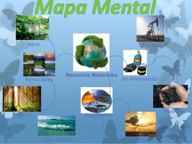 RECURSOS NATURALES