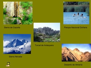 Sierra de Cazorla                          Parque Nacional Doñana




                     Torcal de Antequera




     Sierra Nevada


                                           Desierto de Almería
 