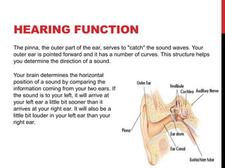 HEARING FUNCTION
The pinna, the outer part of the ear, serves to "catch" the sound waves. Your
outer ear is pointed forward and it has a number of curves. This structure helps
you determine the direction of a sound.
Your brain determines the horizontal
position of a sound by comparing the
information coming from your two ears. If
the sound is to your left, it will arrive at
your left ear a little bit sooner than it
arrives at your right ear. It will also be a
little bit louder in your left ear than your
right ear.
 