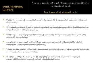 Սահմանել  ռեսուրսների օգտագործման արդյունավետության` ՇՄ վրա բացասական ազդեցության նվազեցման  սկզբունքներ Հիմնավորել  ջանքերը և միջոցները գործունեության ավելի գերակայելի ուղղությունների վրա կենտրոնացնելու անհրաժեշտությունը և հնարավորությունը, Կանխարգելել  սուր էկոլոգիական հիմնահարցերի զարգացումը, մշակել առաջարկություններ` դրանք իրենց ժամանակին լուծելու համար, ստեղծել տեղեկատվական հիմքեր  ՇՄ վրա ազդեցության աղբյուրների մոնիթորինգի, էկոլոգիական հսկողության, էկոլոգիական փորձաքննության համար, Գնահատել  էկոլոգիական հսկողության և կառավարման համակարգերի  արդյունավետությունը , հիմնավորել առաջարկություններ` զարգացման համար, ձևակերպել անհրաժեշտ ելակետային տվյալներ`  բազմանպատակ, երկարատև արտադրական, տարածքային էկոլոգիական ծրագրերի մշակման և իրականացման համար:  Կարող է զգալիորեն ազդել էկոլոգիական իրավիճակի բարելավման վրա:  Այդ  նպատակով անհրաժեշտ է. 