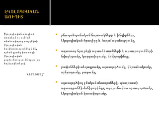 բնապահպանական նպատակները և խնդիրները, էկոլոգիական ծրագիրը և քաղաքականությունը, աղտոտող նյութերի արտանետումների և արտաթողումների նվազեցումը, կարգավորումը, մոնիթորինգը, թափոնների տեղադրումը, օգտագործումը, վերամշակումը, ոչնչացումը, թաղումը, օգտագործվող բնական ռեսուրսների, պատրաստի արտադրանքի մոնիթորինգը, արդյունավետ օգտագործումը, էկոլոգիական կառավարումը, Էկոլոգիական աուդիտի առարկան ոչ այնքան տնտեսավարող սուբյեկտի էկոլոգիական հաշվետվություններն են, որքան դրանց փաստացի էկոլոգիական գործունեությունն իր բոլոր հայեցակետերով ՆԵՐԱՌՅԱԼ՝ 