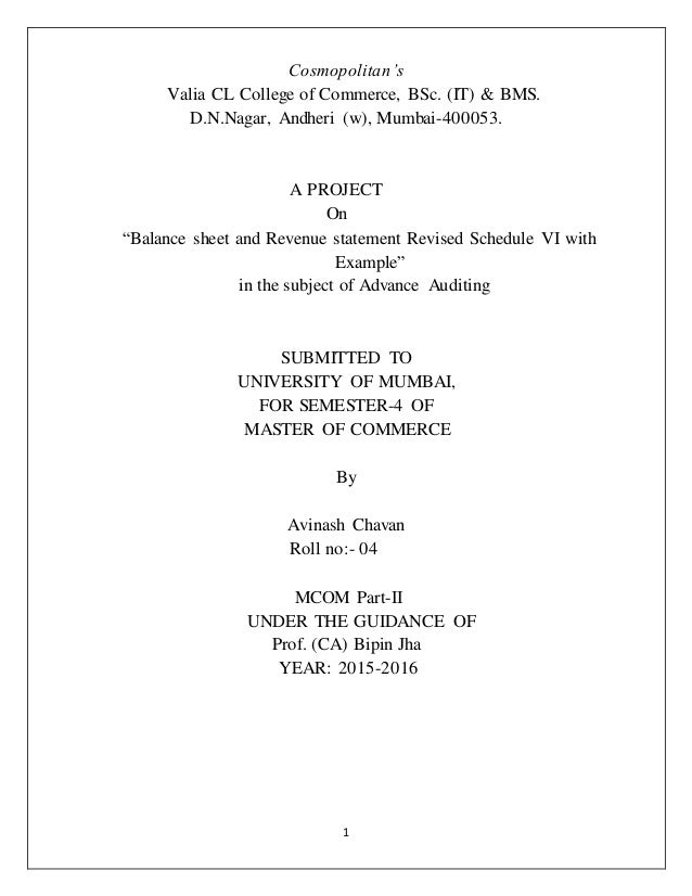 balance sheet and p l as per revised shedule six with exaple balance sheet p l