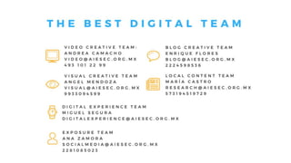 Audit AIESEC MEXICO