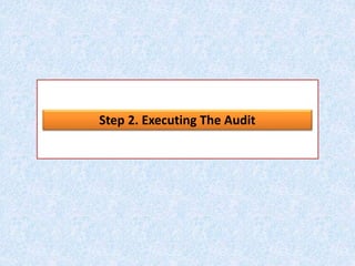 Step 2. Executing The Audit
 