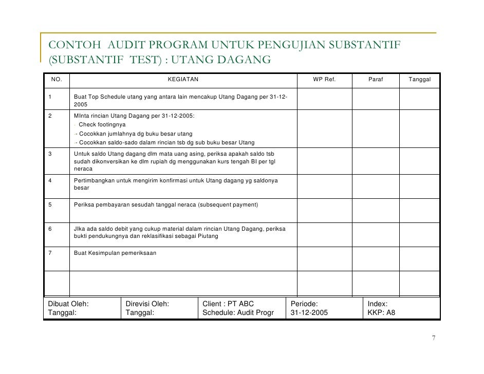 Audit Program 2
