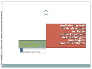 DIEYE Mamadou & SY Doudou, audit et conseils en communication des organisations étude de cas du site de  l’AEC 