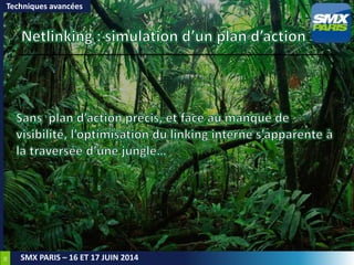 28
SMX PARIS – 16 ET 17 JUIN 2014
Techniques avancées
 