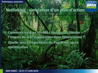 29
SMX PARIS – 16 ET 17 JUIN 2014
Techniques avancées
 