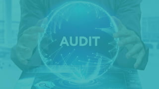 Audit Software