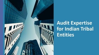 Audit Expertise
for Indian Tribal
Entities
 