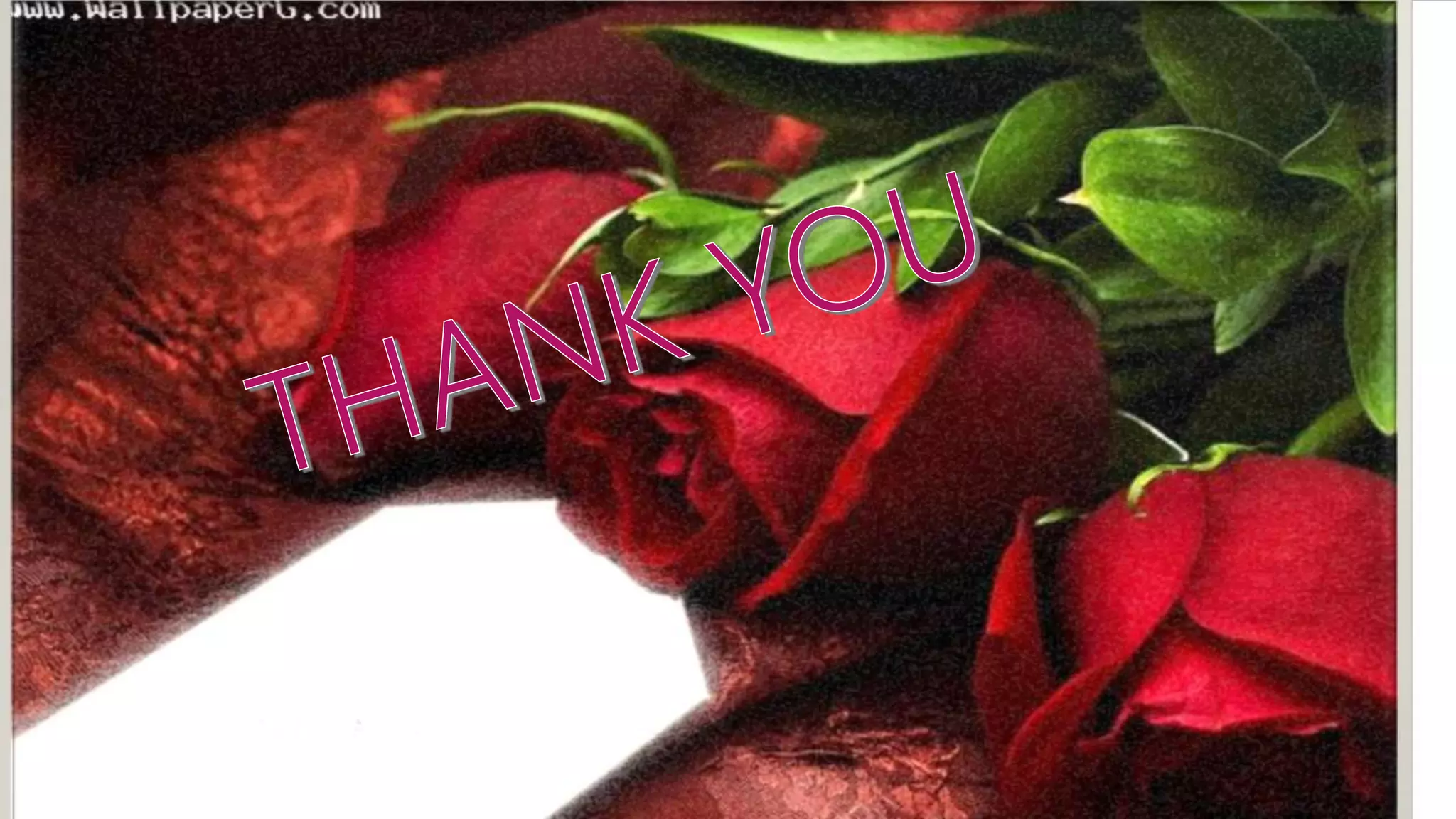 Auditing-definition & objective of auditing