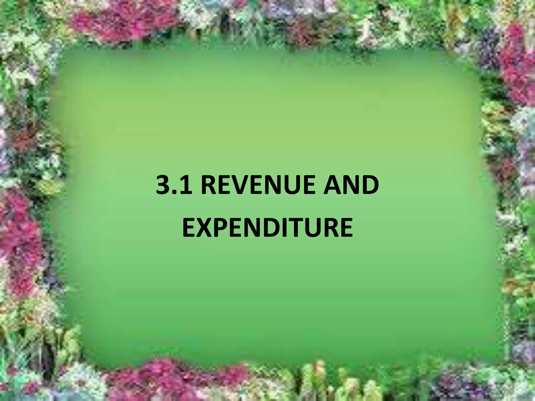3.1 REVENUE AND 
EXPENDITURE 
 