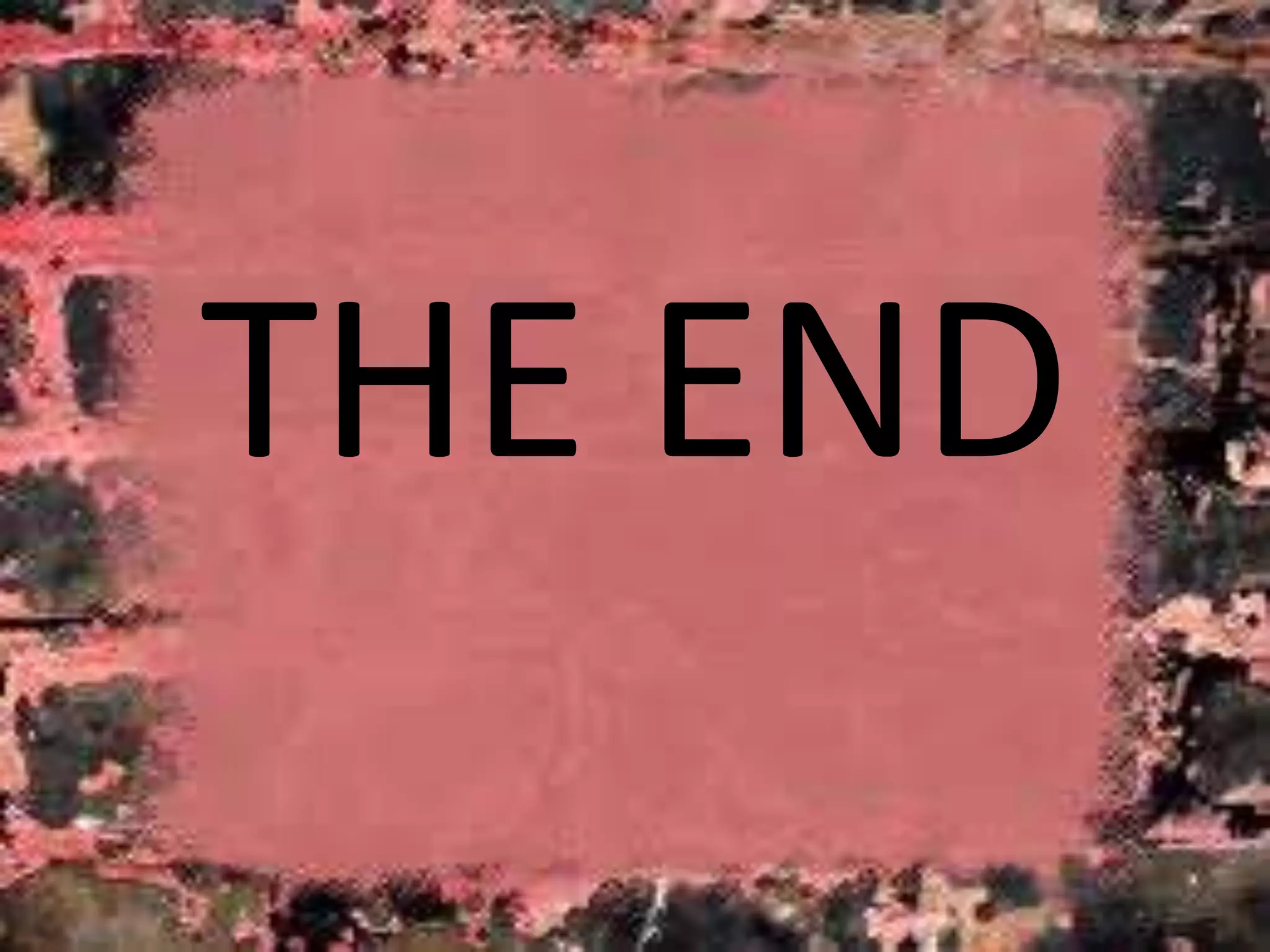 THE END 
