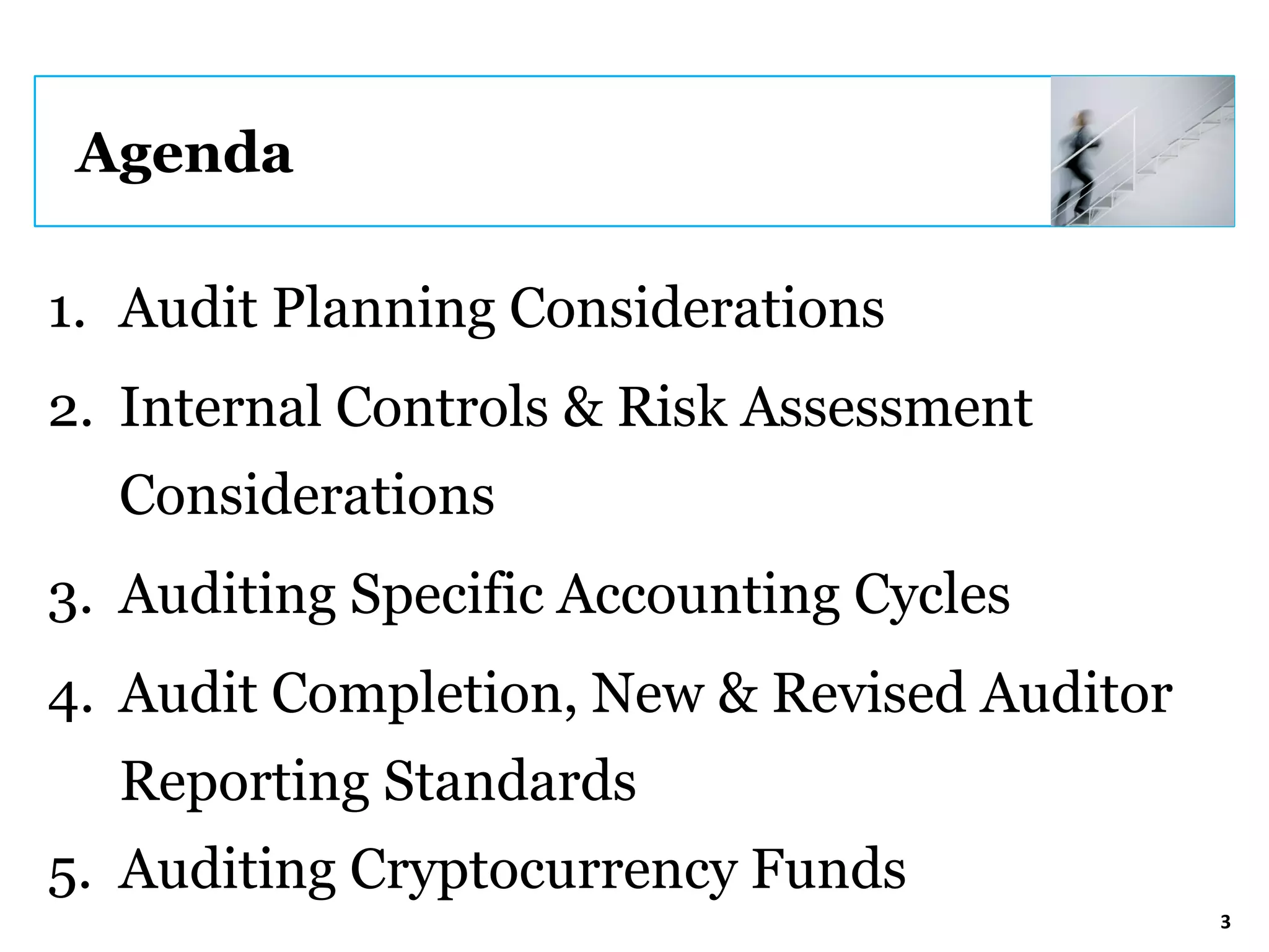 Auditing Cayman Funds and Crypto Funds | PDF
