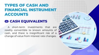 Readily Convertable Audit of Cash and Financial Instruments.pdf