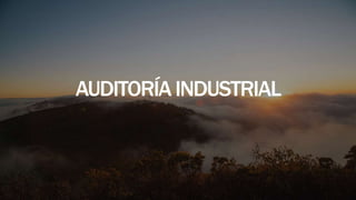 AUDITORÍA INDUSTRIAL 
