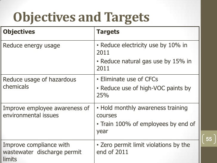 Auditor for quality and environmental management systems