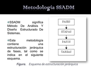 SSADM          significa
Método De Análisis Y
Diseño Estructurado De
Sistemas.

  Esta        metodología
contiene              una
estructuración jerárquica
de fases, tal como se
indica en el siguiente
esquema.
      Figura. Esquema de estructuración jerárquica
 