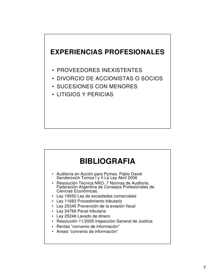 Auditoria En Pymes