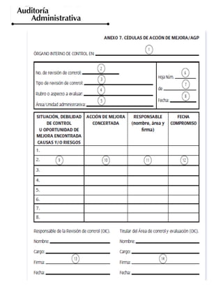auditoria-final[1].docx