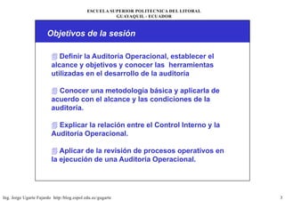 Auditoria Operacional.