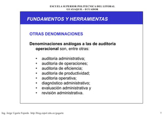 Auditoria Operacional.