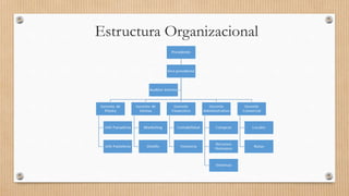 Estructura Organizacional
 