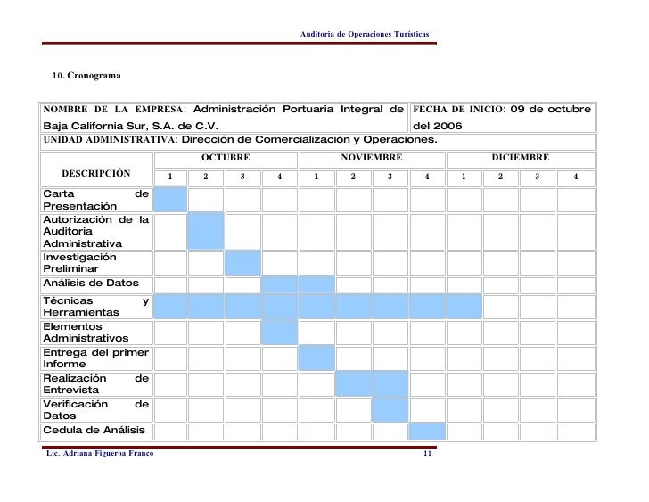 Ejemplos De Cronograma De Actividades De Una Auditoria Nuevo Ejemplo