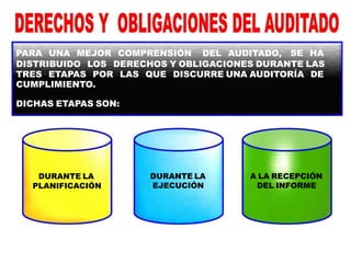 DURANTE LA
PLANIFICACIÓN
DURANTE LA
EJECUCIÓN
A LA RECEPCIÓN
DEL INFORME
PARA UNA MEJOR COMPRENSIÓN DEL AUDITADO, SE HA
DISTRIBUIDO LOS DERECHOS Y OBLIGACIONES DURANTE LAS
TRES ETAPAS POR LAS QUE DISCURRE UNA AUDITORÍA DE
CUMPLIMIENTO.
DICHAS ETAPAS SON:
 