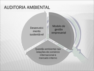 AUDITORIA AMBIENTAL
26
 