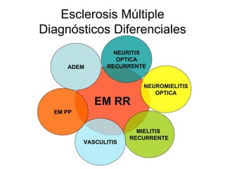 Esclerosis Múltiple Diagnósticos Diferenciales EM RR NEUROMIELITIS OPTICA MIELITIS  RECURRENTE NEURITIS OPTICA RECURRENTE VASCULITIS ADEM EM PP 