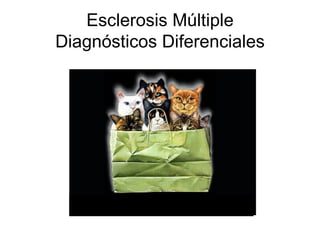 Esclerosis Múltiple Diagnósticos Diferenciales 