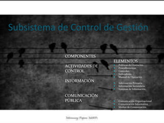 Subsistema de Control de Gestión

            COMPONENTES
                             ELEMENTOS
                                Políticas de Operación.
            ACTIVIDADES DE      Procedimientos.
            CONTROL             Controles.
                                Indicadores.
                                Manual de Operación
            INFORMACIÓN         Información Primaria.
                                Información Secundaria.
                                Sistemas de Información.

            COMUNICACIÓN
            PÚBLICA             Comunicación Organizacional.
                                Comunicación Informativa.
                                Medios de Comunicación.
 