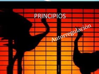 PRINCIPIOS
 