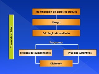 Dictamen
Identificación de ciclos operativos
Pruebas sustantivasPruebas de cumplimiento
Riesgo
Estrategia de auditoria
Controldecalidad
 
