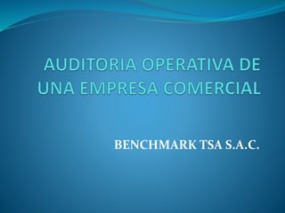 BENCHMARK TSA S.A.C.
 