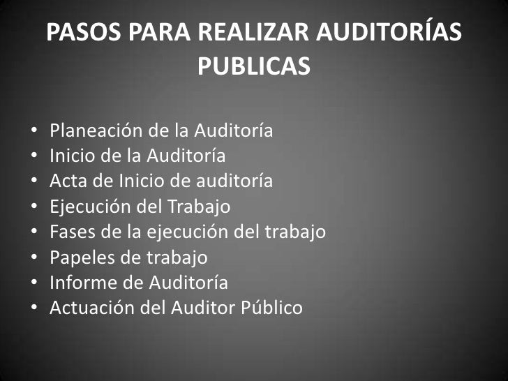 Auditoria publica para subir a la pagina