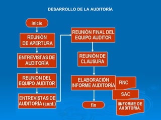 DESARROLLO DE LA AUDITORÍA 