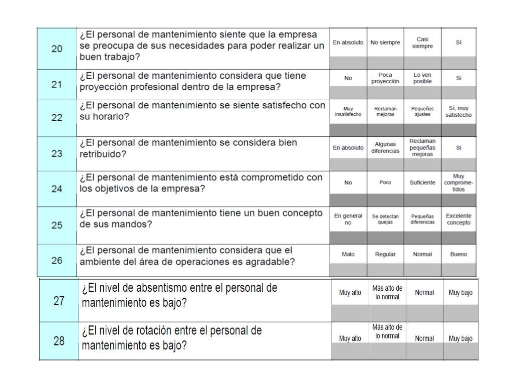 AUDITORÌAS DE MANTENIMIENTO
