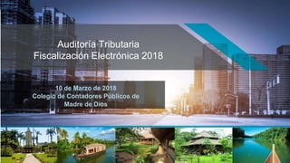 1
Auditoría Tributaria
Fiscalización Electrónica 2018
10 de Marzo de 2018
Colegio de Contadores Públicos de
Madre de Dios
 