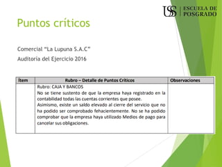Puntos críticos
Comercial “La Lupuna S.A.C”
Auditoría del Ejercicio 2016
 