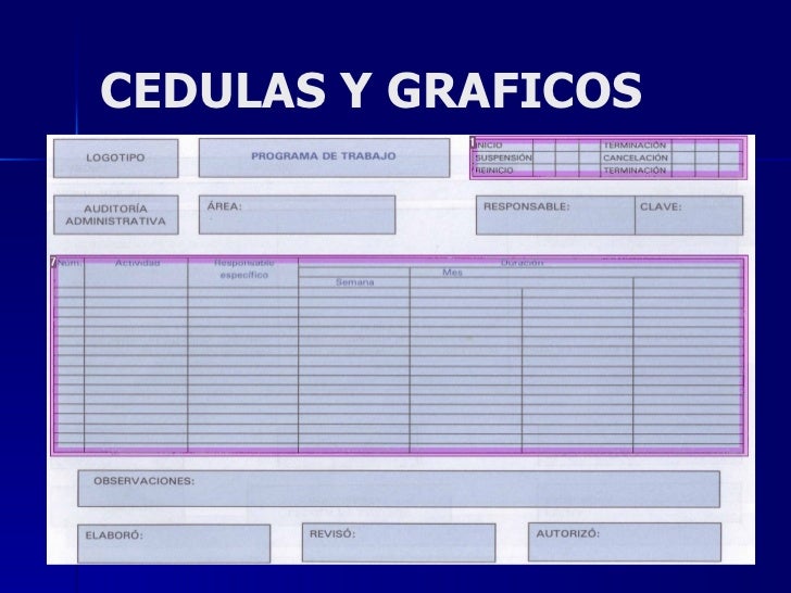 Auditoria Y Consultoria