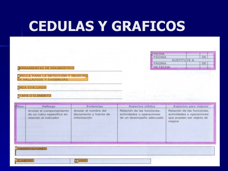 Auditoria Y Consultoria