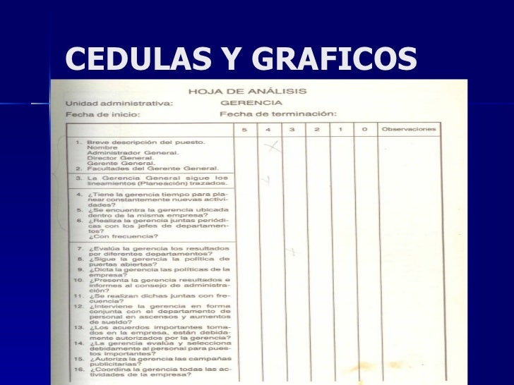 Auditoria Y Consultoria