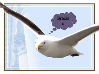 Gracia
s
 