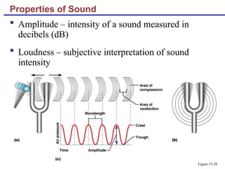 Properties of Sound
 Amplitude – intensity of a sound measured in
decibels (dB)
 Loudness – subjective interpretation of sound
intensity
Figure 15.29
 