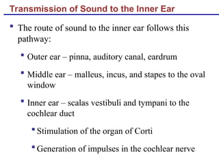 Transmission of Sound to the Inner Ear
 The route of sound to the inner ear follows this
pathway:
 Outer ear – pinna, auditory canal, eardrum
 Middle ear – malleus, incus, and stapes to the oval
window
 Inner ear – scalas vestibuli and tympani to the
cochlear duct
 Stimulation of the organ of Corti
 Generation of impulses in the cochlear nerve
 