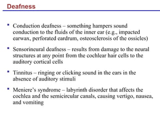 Deafness
 Conduction deafness – something hampers sound
conduction to the fluids of the inner ear (e.g., impacted
earwax, perforated eardrum, osteosclerosis of the ossicles)
 Sensorineural deafness – results from damage to the neural
structures at any point from the cochlear hair cells to the
auditory cortical cells
 Tinnitus – ringing or clicking sound in the ears in the
absence of auditory stimuli
 Meniere’s syndrome – labyrinth disorder that affects the
cochlea and the semicircular canals, causing vertigo, nausea,
and vomiting
 