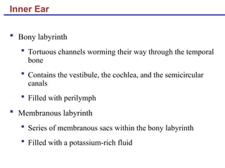 Inner Ear
 Bony labyrinth
 Tortuous channels worming their way through the temporal
bone
 Contains the vestibule, the cochlea, and the semicircular
canals
 Filled with perilymph
 Membranous labyrinth
 Series of membranous sacs within the bony labyrinth
 Filled with a potassium-rich fluid
 
